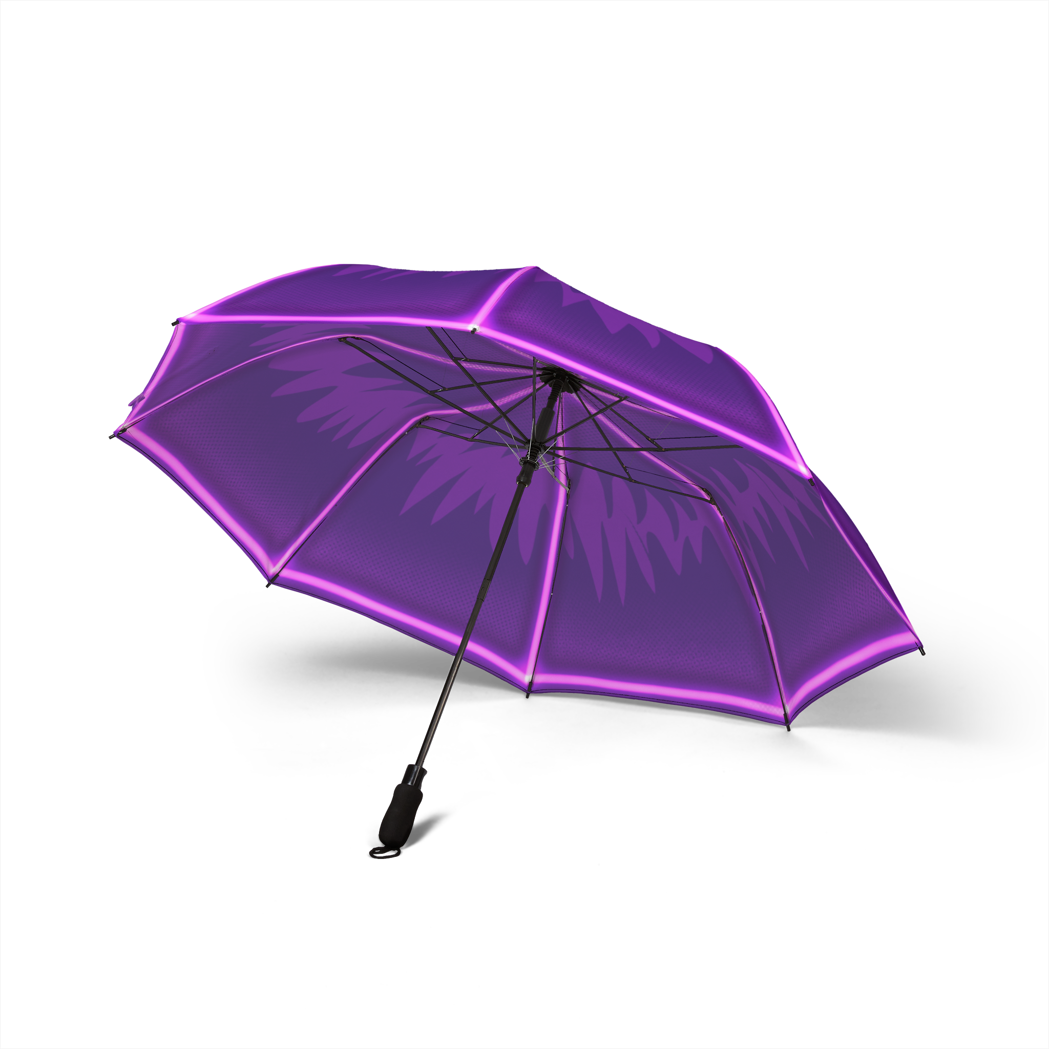 DG’s Umbrella